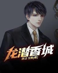 龍潛香城 小說封面